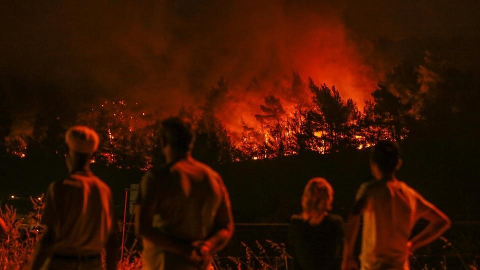 Orman Yangınları Bu Yıl 1.76 Milyar Ton Karbon Salımına Neden Oldu