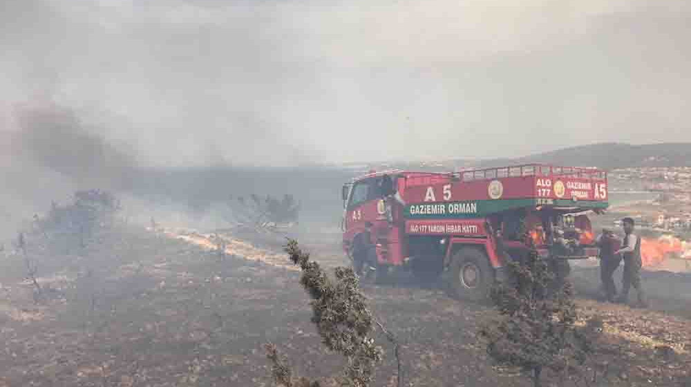 İzmir’in Çeşme İlçesinde Orman Yangını Çıktı